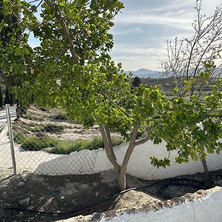 Alojamientos Cuevas Tiana El Aljibete Exteriér fotografie