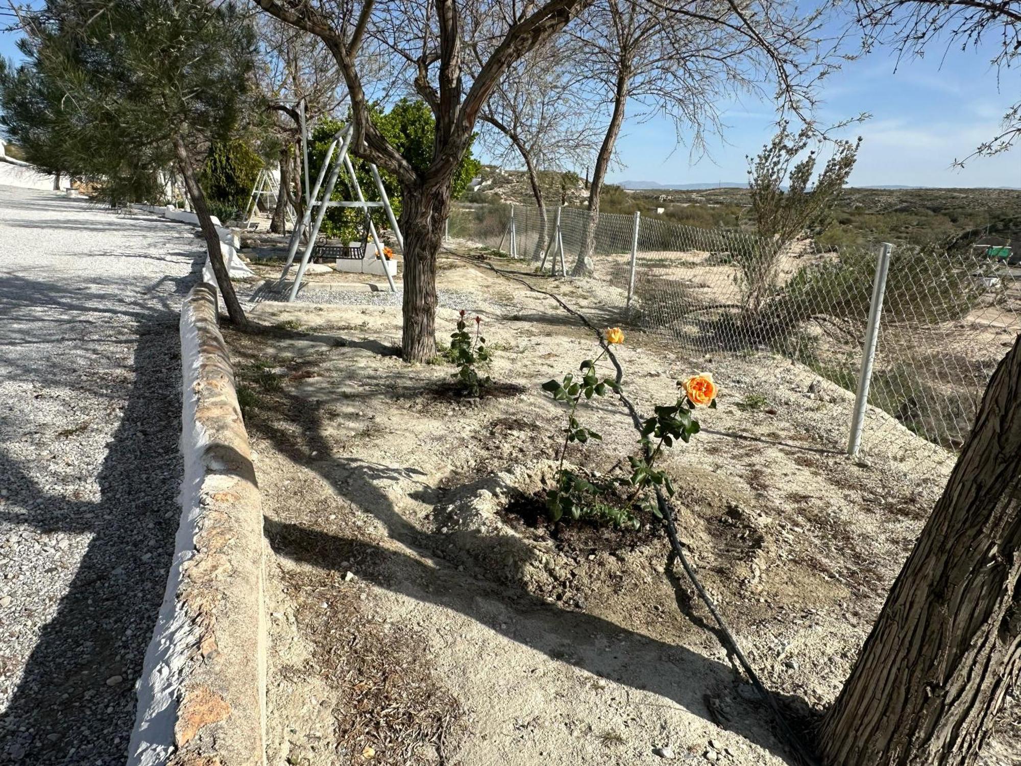 Alojamientos Cuevas Tiana El Aljibete Exteriér fotografie