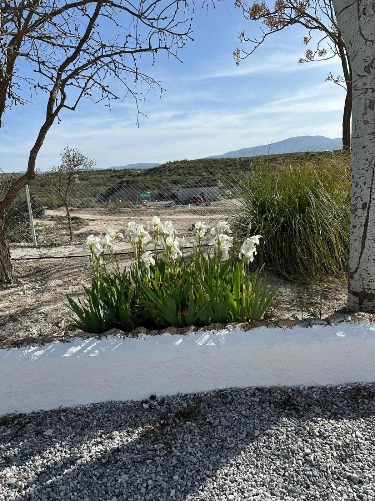 Alojamientos Cuevas Tiana El Aljibete Exteriér fotografie