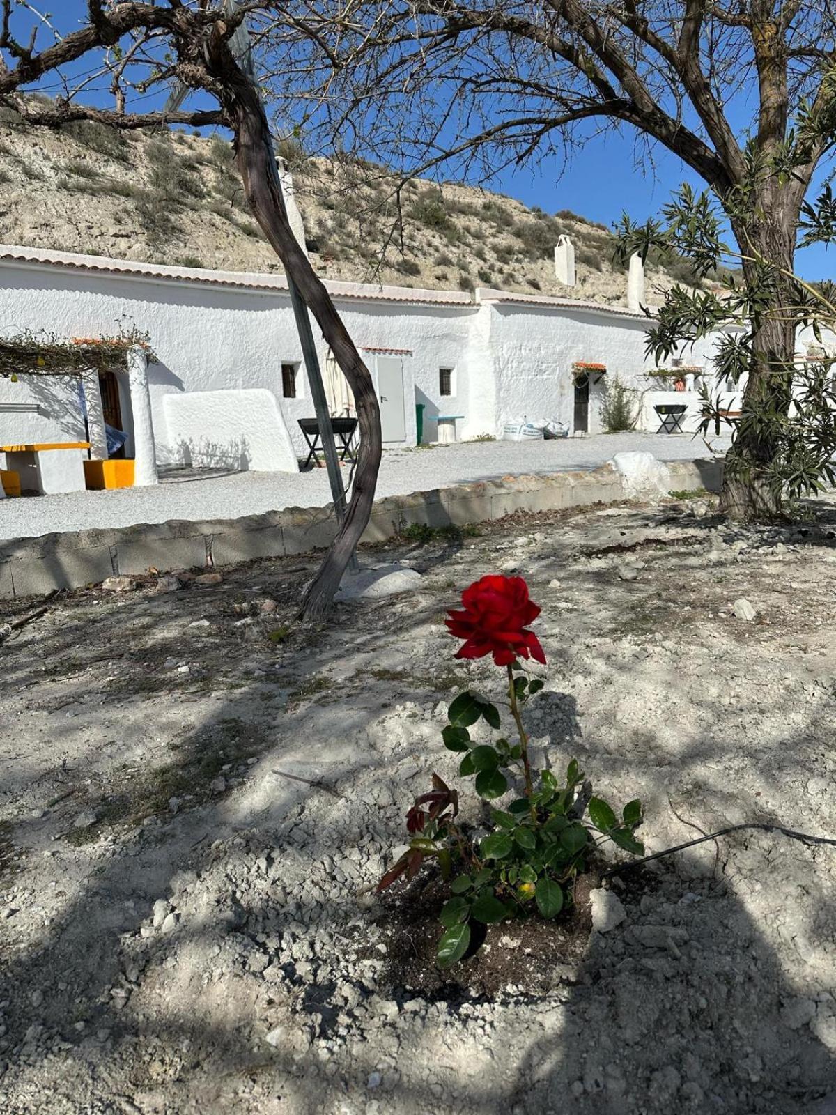 Alojamientos Cuevas Tiana El Aljibete Exteriér fotografie